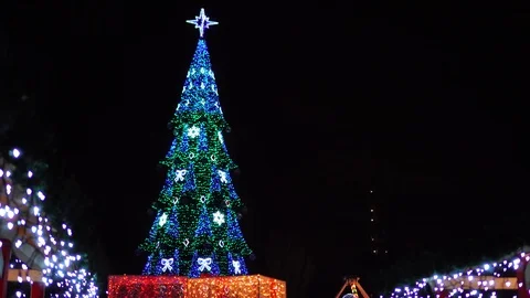 Low angle view on sparkling neon lights shining on huge Christmas tree on dark Stock Footage 100142225