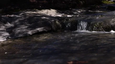 Low angle view of Stacy Brook running to Cole Bay. Westport, NY. Stock Footage 273607668