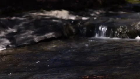 Low angle view of Stacy Brook running to Cole Bay. Westport, NY. Stock Footage 273607673