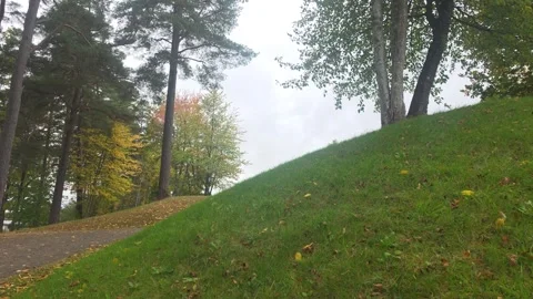 Low angle view of steep grassy mound and tall pine trees in park Stock Footage 347598628