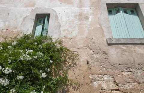 Low angle view of stone wall house with flower plant growing in foreground Fotos de archivo