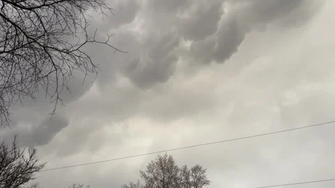 Low angle view of storm clouds and wind during an early spring storm Stock Footage 304617181