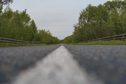Low Angle View of a Straight Road in Rural Belarus with Trees Stock Photos