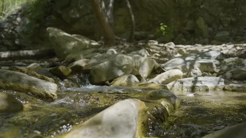 Low-Angle View of Stream Flowing Over Rocks in Forest Clearing Video stock 311911400
