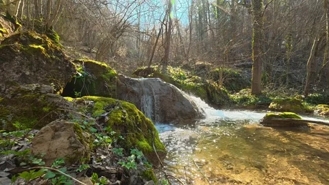 Low Angle View of Stream Flowing into Natural Pool Waterfall Video stock 330633426