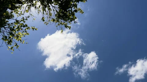 Low Angle view of sun on blue sky with clouds, shining on summer horizon midday Stock Footage 171003946