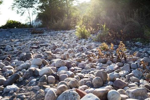 Low Angle View of Sunlight Hitting Rocky Riverbed or Shore Stock Photos