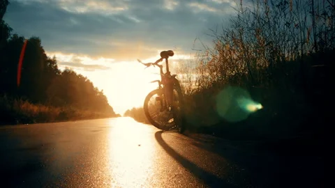 Low Angle View of Sunset Road Stock Footage 119309327