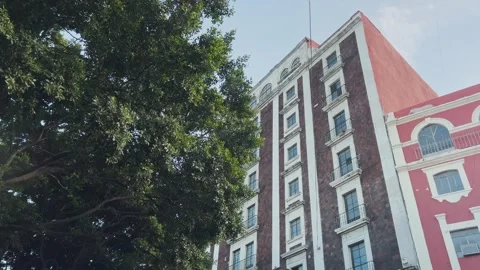 Low Angle View of Tall Building Rising Above Large Leafy Tree Against Blue Sky Stock Footage 340806794
