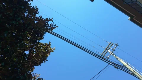 Low angle view of telecommunication cables on utility pole Stock Footage 340155409