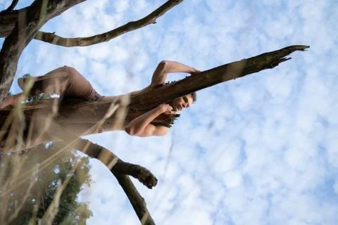 Low angle view of thoughtful man lying on log against cloudy sky in forest Stock Photos