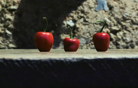 Low angle view of tiny red chili peppers placed on a surfa Foto stock