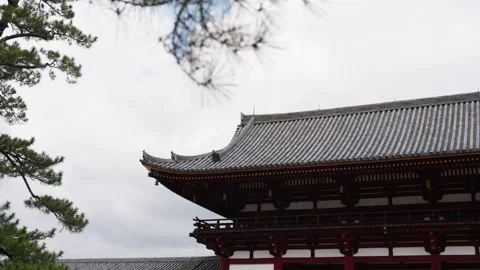 Low Angle View of Todai-ji Great Buddha Hall Roof and Pine Tree Nara Japan Stock Footage 336428923