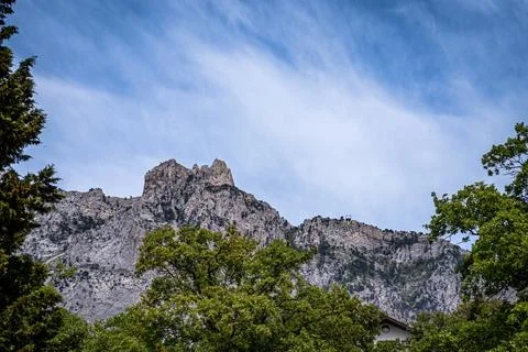 Low angle View of top of rock against blue sky through branches of trees. D.. Stock Photos