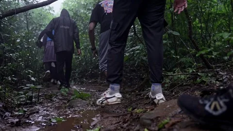 A low angle view of tourists or students hiking in the rainy Western Ghats .. Stock Footage 314206089