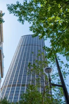Low angle view of a tower in Paris, France, behind the trees Stock Photos