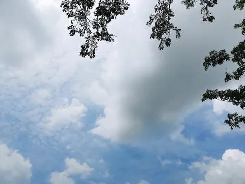Low Angle View of Tree Branches and Leaves Silhouette Against Blue Cloudy Sky Stock Photos
