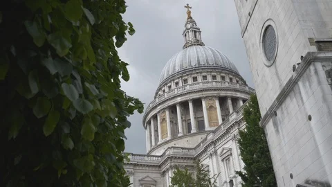 Low angle view of a tree in front of the St. Paul's cathedral. Stock Footage 107945962