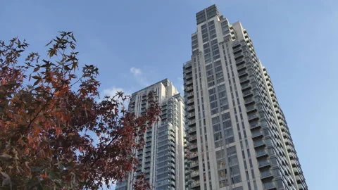 A low angle view of a tree with red leaves beside buildings in autumn. Stock Footage 115129314
