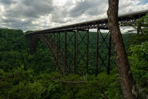 Low Angle View Of Trees And New River Gorge Bridge Foto stock