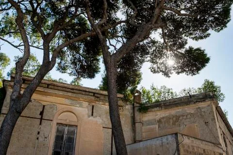 Low angle view of trees by building, Campania, Italy 스톡 사진
