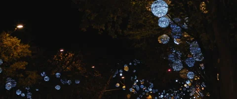 Low angle view of trees covered with traditional Christmas decorations in Lis Stock Footage 141369270