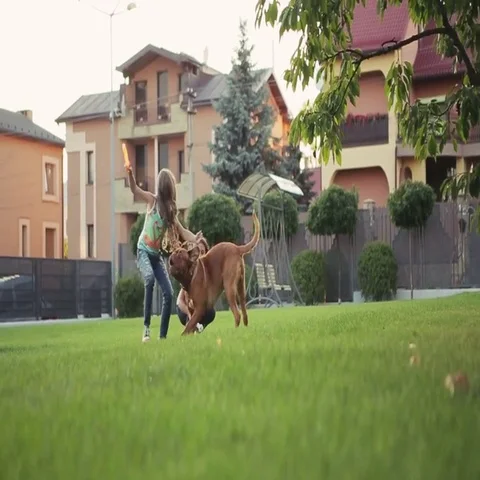 Low angle view of two little curly girls throwing a toy-bone to the dog Stock Footage 69727339