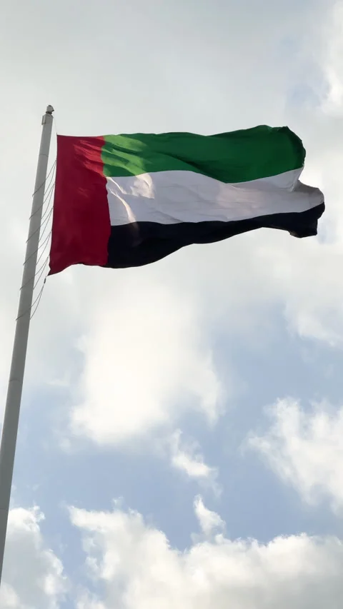 Low Angle View of UAE Flag Waving in the Wind Against Sky. 스톡 동영상 332554232