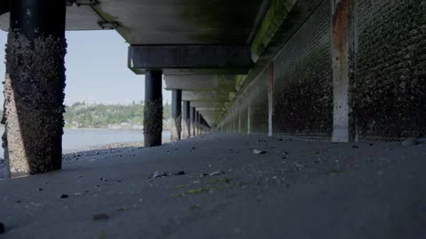 Low angle view under pier with algae-covered columns at low tide. 스톡 동영상 311842273