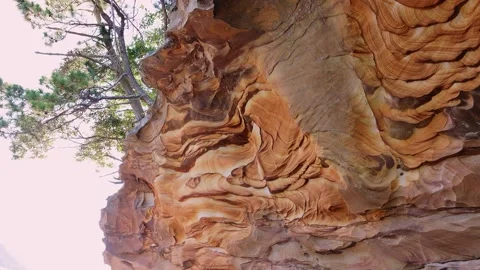Low angle view of unique sandstone geological layers and rock cliff by the sea Stock Footage 340749703