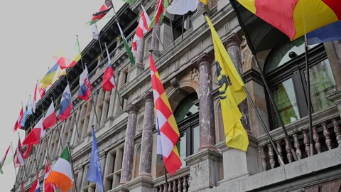 Low angle view of variety of flags seen waving in wind Stock-Footage 252114720