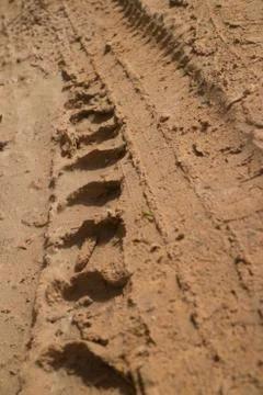 Low angle view vertical CU  muddy jungle road with knobbed tire tracks headin Stock Photos