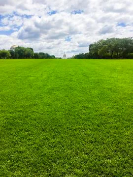Low Angle View of Washington DC Lawn Foto stock