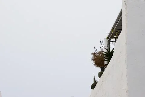 Low-Angle View of Whitewashed Building Wall and Balcony with Succulent Plants Stock Photos
