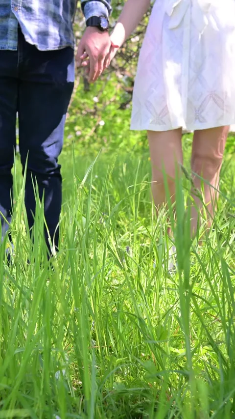 Low angle view of young couple holding hands and walking in tall green grass, Stock Footage 335449093