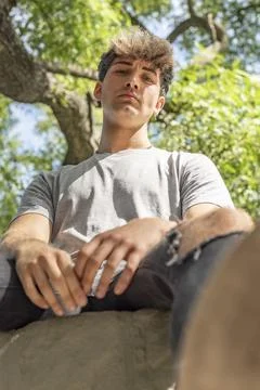 Low angle view of a young man, serious, sitting on a tree while looking at .. Stock Photos