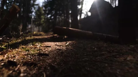 Low angle walk in the woods. Stock-Footage 152077214