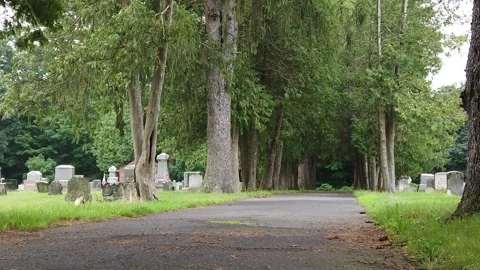 Low Angle Walking Along Tree Lined Cemetery Path 库存影片 139899739