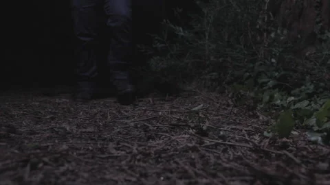 Low Angle walking through woods at night with flashlight Stock Footage 252287993