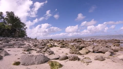 Low angle walking view on sandy rocky coral beach of beautiful scene of Koromiri Stock Footage 250401678