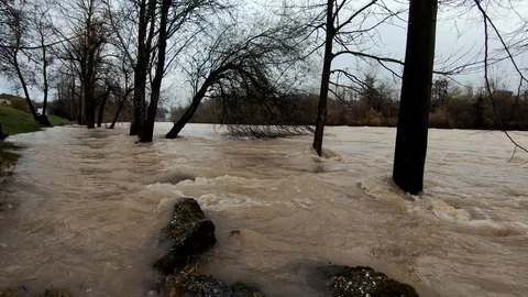 Low angle water floods river bank grass and trees after season rain Stock Footage 122035411