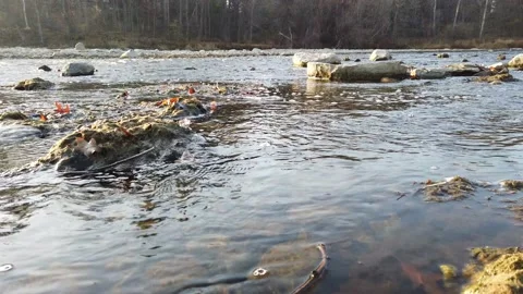 Low angle of water flowing over a rocky river bed Stock Footage 143196588