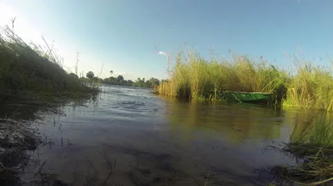Low angle of water flowing towards camera in Zambezi River with reeds Stock Footage 22872087