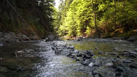Low angle of water rushing across a shallow creek bed Stock Footage 163174477