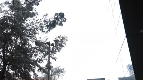 Low Angle to Wide Angle Shot of the logo outside Colombian Stock Exchange Stock Footage 45237321