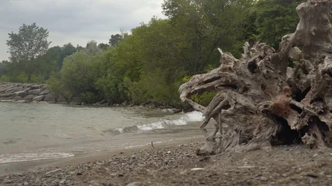 Low angle wide shot of a rocky beach. Stock Footage 77584535