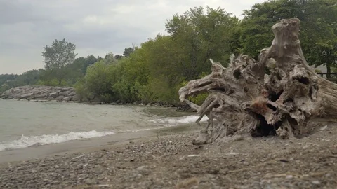 Low angle wide shot of a rocky beach. Video stock 77584718