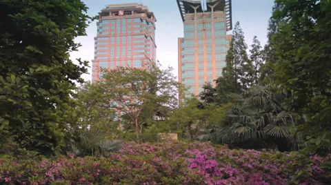 Low angle wide shot of two skyscrapers in Shanghai Stock Footage 38733970