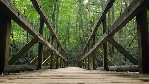 Low Angle of a Wooden Bridge Leading into a Lush Forest Stock Footage 117091464