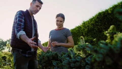 Low angle of worker advising the client over coniferous plants in garden center Stock-Footage 267077598